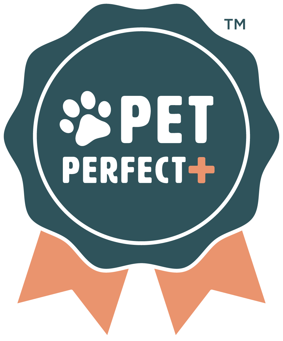 Pet perfect | Custom Carpet Centers