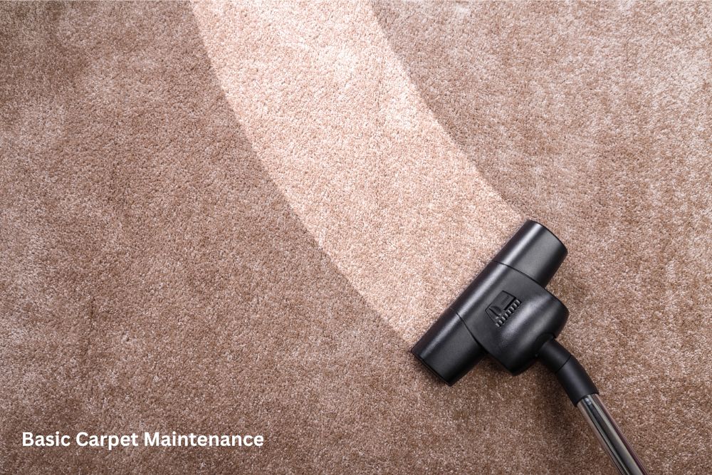 Carpet floor cleaning | Custom Carpet Centers