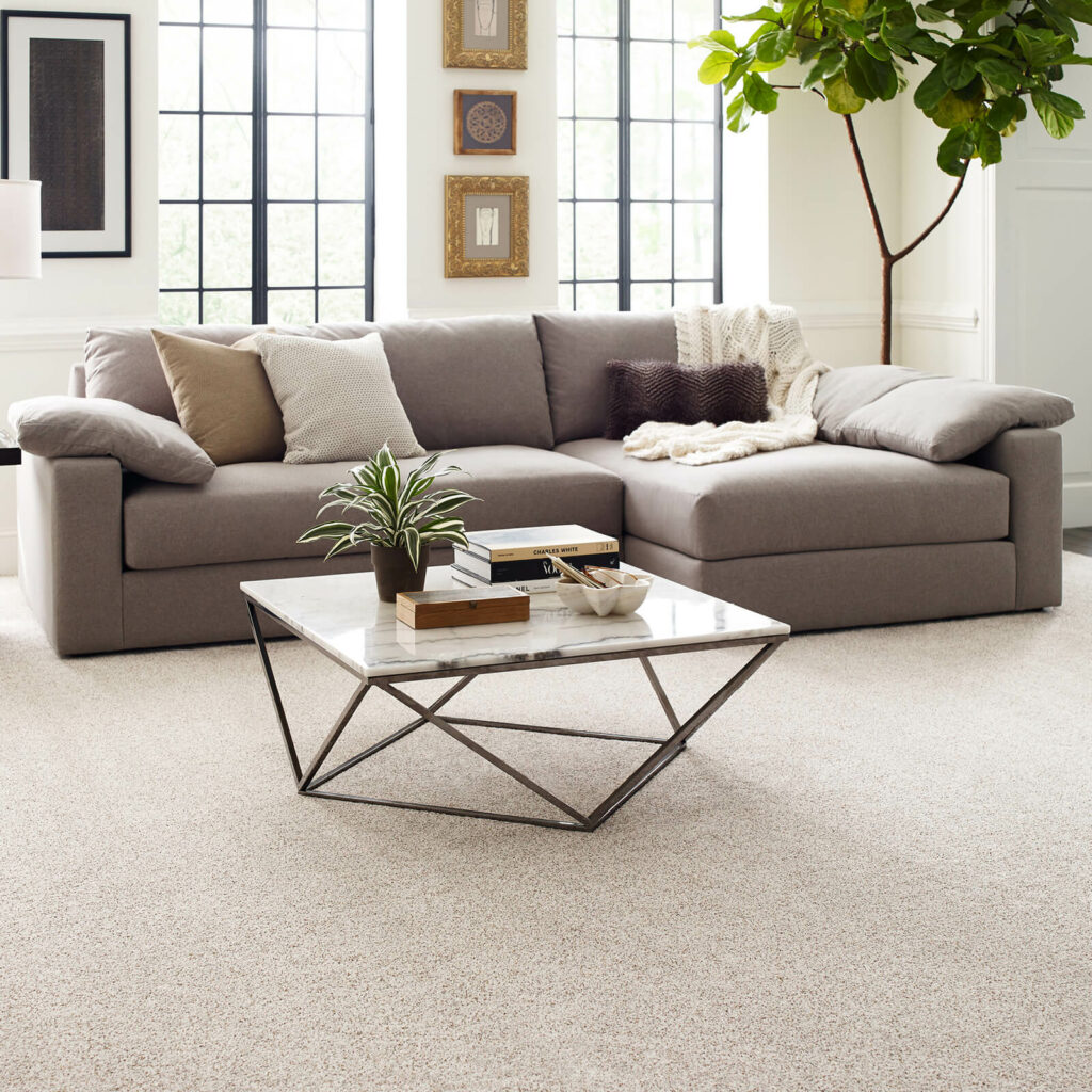 Living room flooring | Custom Carpet Centers