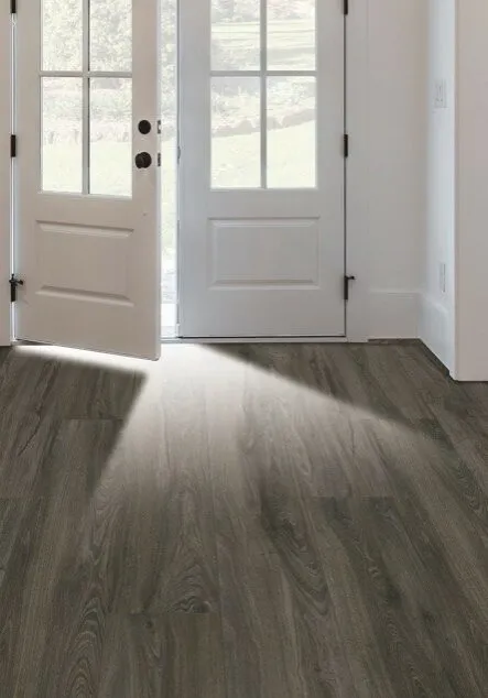Karastan-Luxecraft-bkg-portrait-2 Entry Way Flooring | Custom Carpet Centers