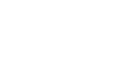 Karastan | Custom Carpet Centers